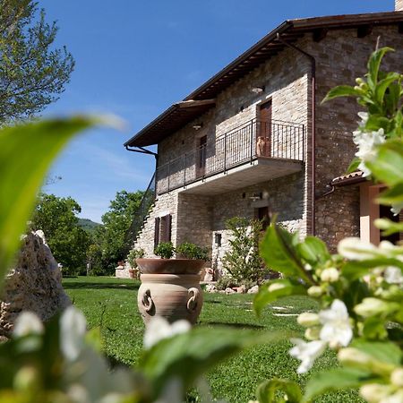 Relais Parco Del Subasio Villa Piano Delle Pieve Dış mekan fotoğraf