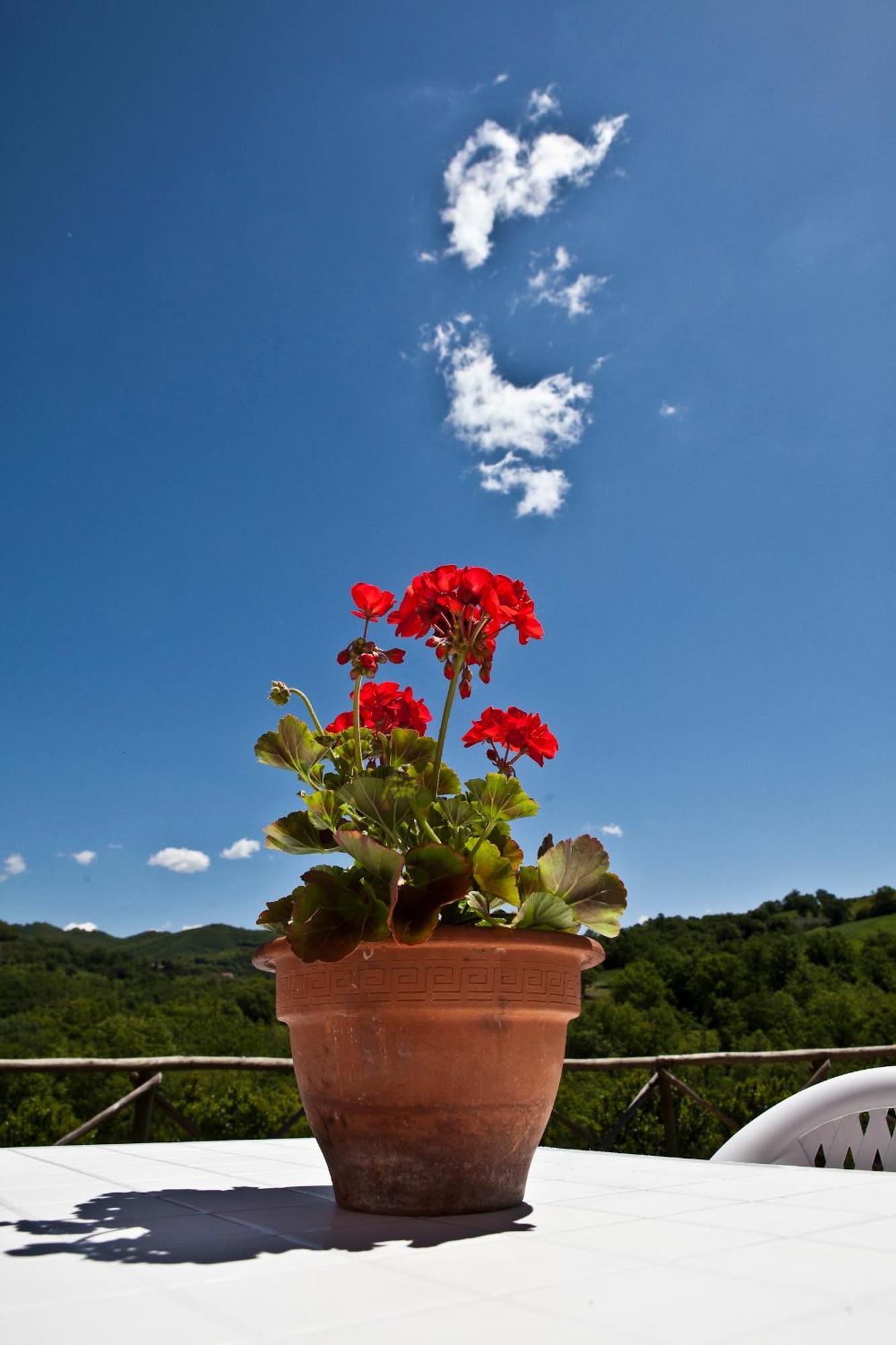 Relais Parco Del Subasio Villa Piano Delle Pieve Dış mekan fotoğraf