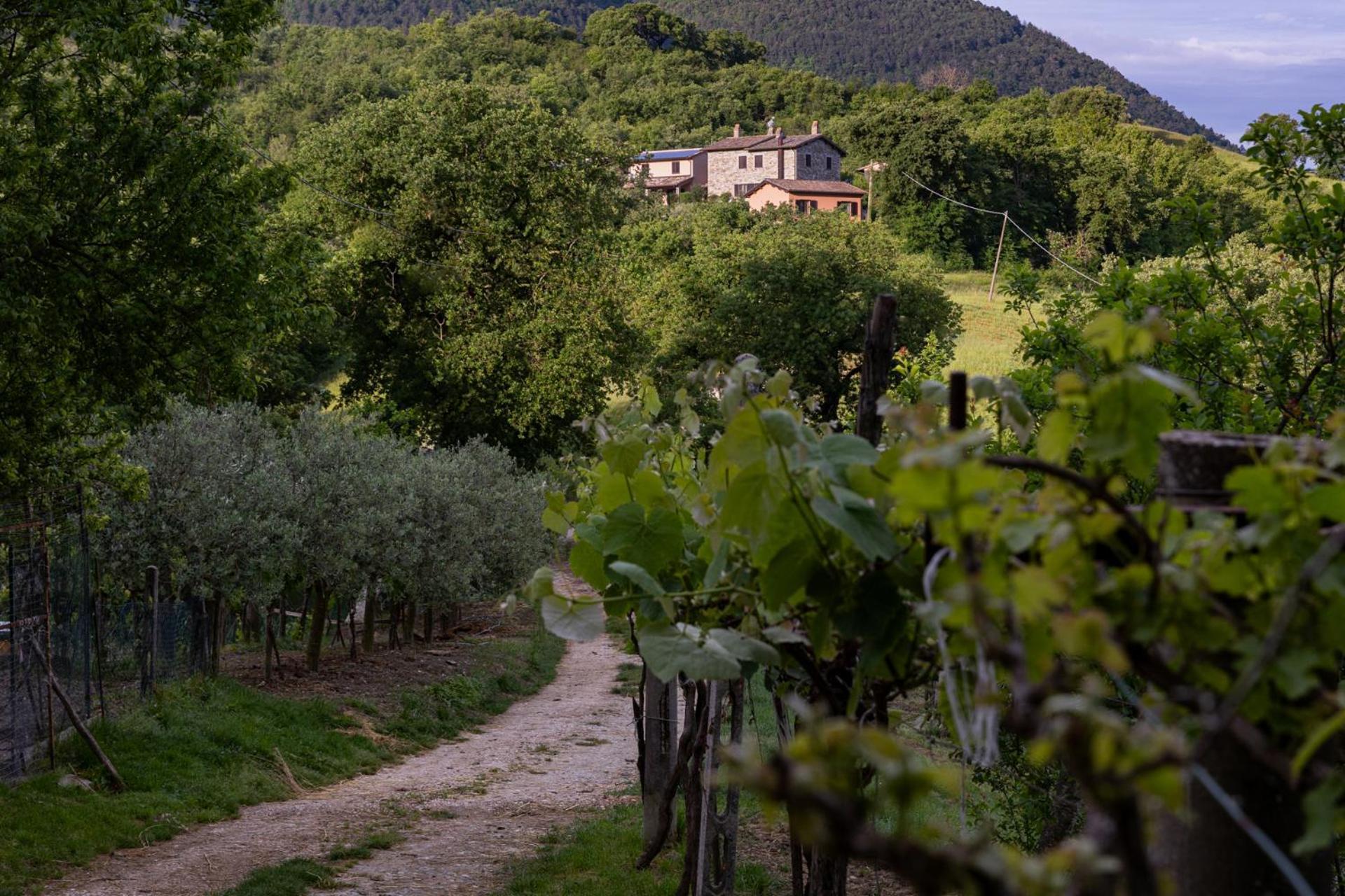 Relais Parco Del Subasio Villa Piano Delle Pieve Dış mekan fotoğraf